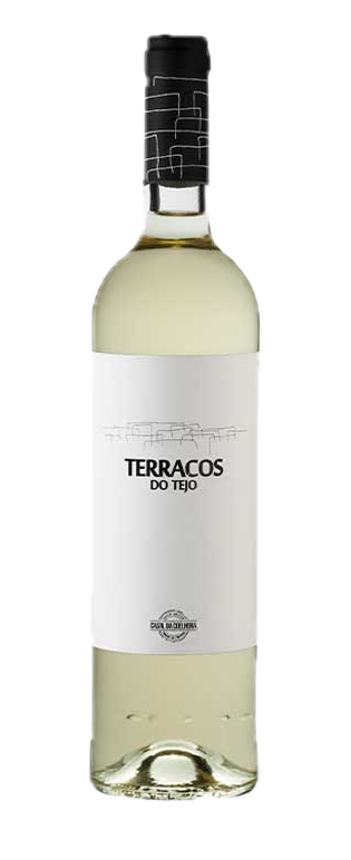 Casal da Coelheira, Terraços do Tejo Branco